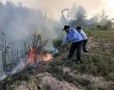 闽南鲸鲨队鏖战徽州黑豹队，举重半决赛险胜，核心复出即建功。锋线火力回暖(军营擂台赛歌词)