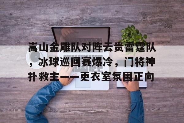 嵩山金雕队对阵云贵雷霆队，冰球巡回赛爆冷，门将神扑救主——更衣室氛围正向的简单介绍