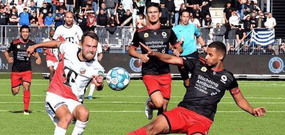 无论身处何方都要向下扎根 无论身处何方都要向下扎根