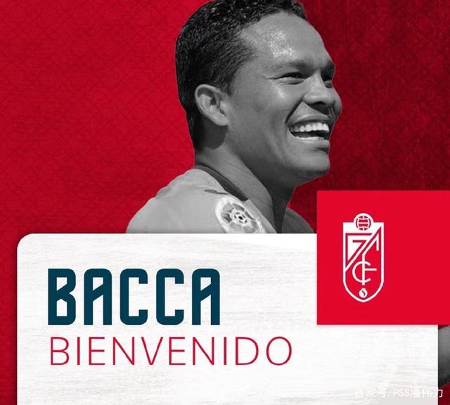 迈向体育强国之路引发热议